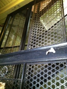 Copyright - Rochelle Wisoff-Fields