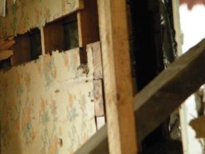 Copyright - Mary Shipman