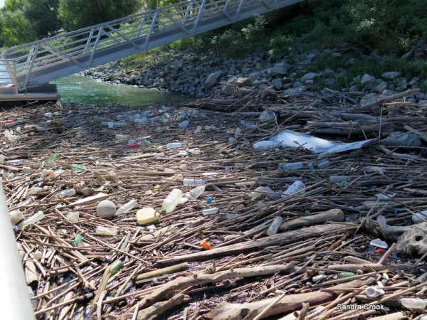 Copyright - Sandra Crook