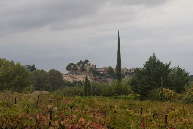 Vineyards beneath Menerebes